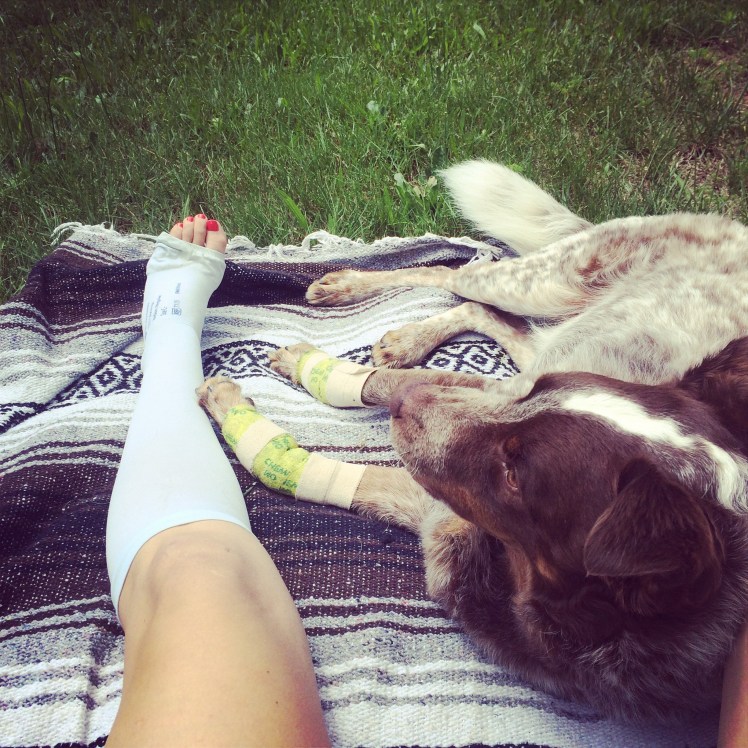 Healing with Schmitty