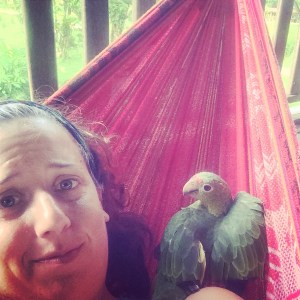 the same someone did NOT want me to enjoy a break in a hammock alone... this bird has no manners ;-) 