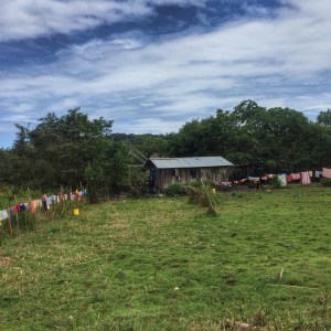 I love the beauty of colorful clothes hanging up to dry. 