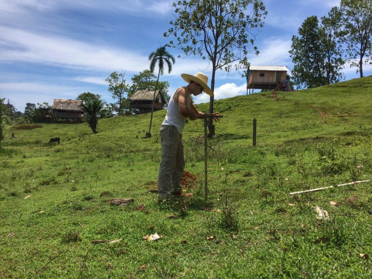 Pat working on the 6th borehole 