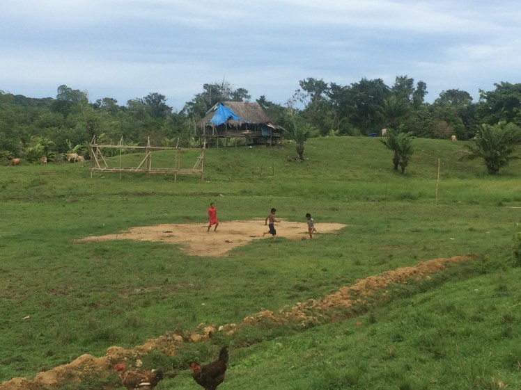 kids playing soccer :)