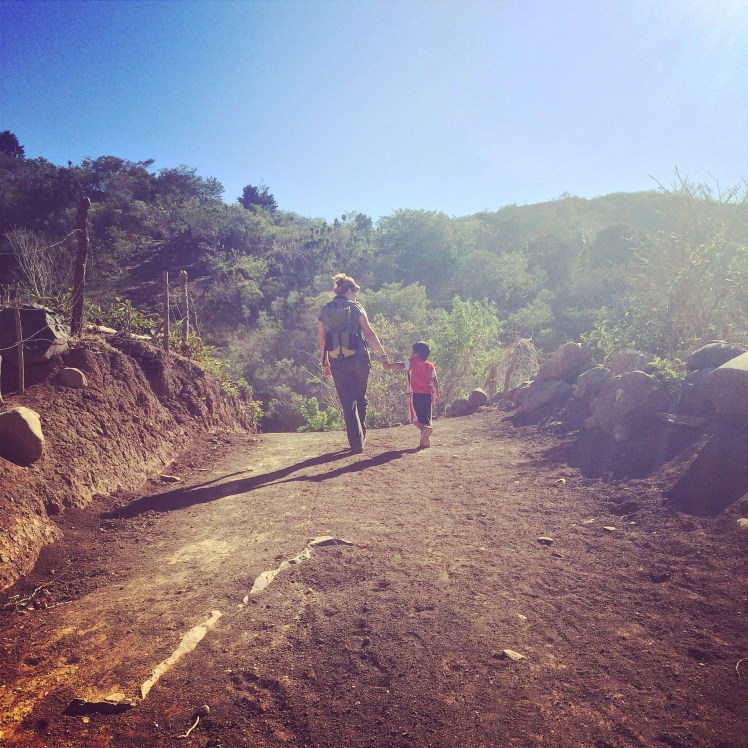 Walking home from my last day of work.  I will miss him most of all