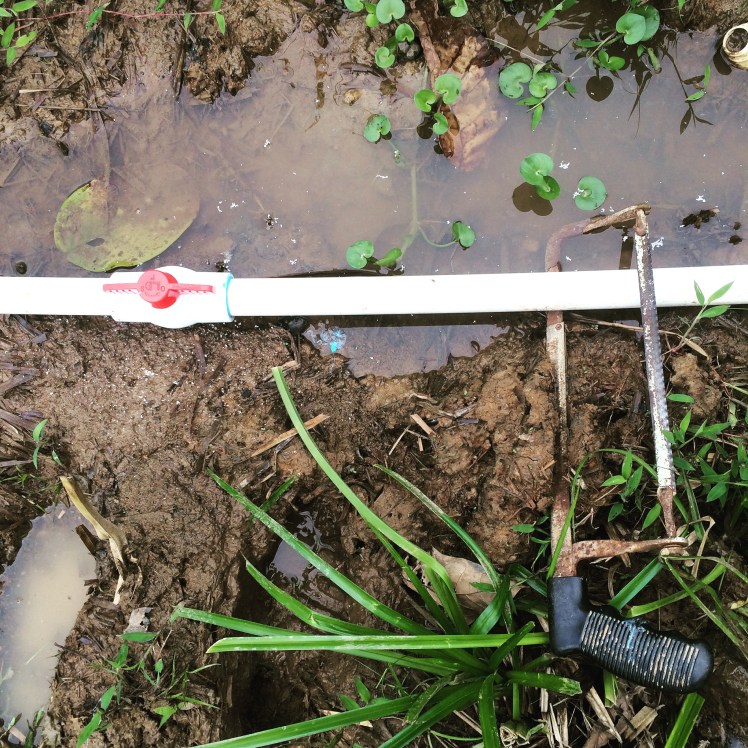 One of those days...