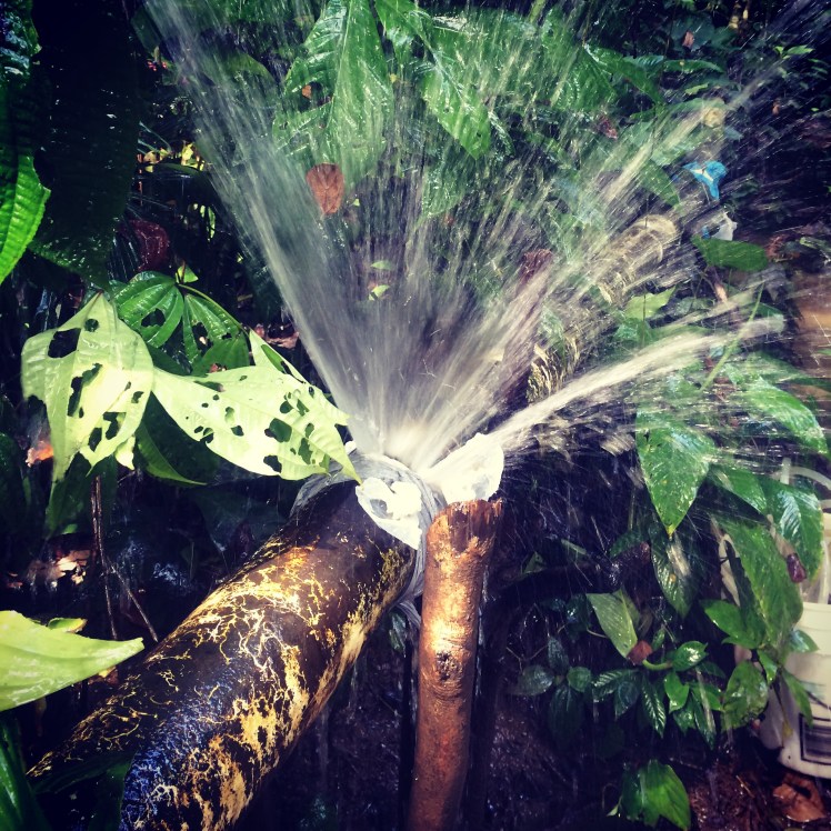 one of the many leaks we found in the existing pipeline