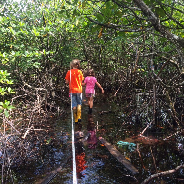 Ellie (orange) & Bella (pink) helping measure the proposed pipeline 